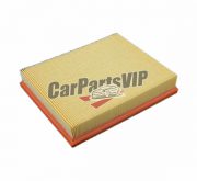 13717634154, Air Filter for BMW