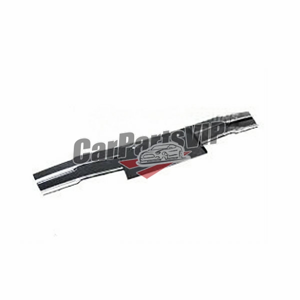 4N0 807 285D RN4, Front Licence Board for Audi, Audi A8 D5 Front Licence Board 2018