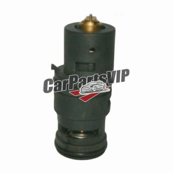 17112249366, Coolant Thermostat for BMW