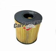 1010208GD190, Oil filter for JAC T8