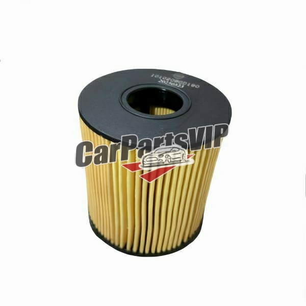 1010208GD190, Oil filter for JAC T8