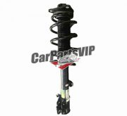 202001105AA, Left Front Shock Absorber Assy for Chery 7 Pro