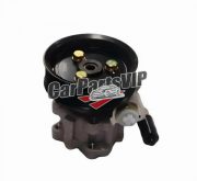 V1340030201A0, Power Steering Pump with Pulley Assembly for Foton Toano