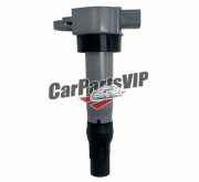 K01165021, Ignition Coil for BAIC Senova X55