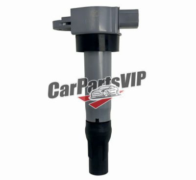 K01165021, Ignition Coil for BAIC Senova X55
