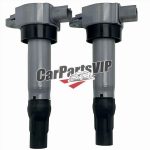 K01165021, Ignition Coil for BAIC Senova X55