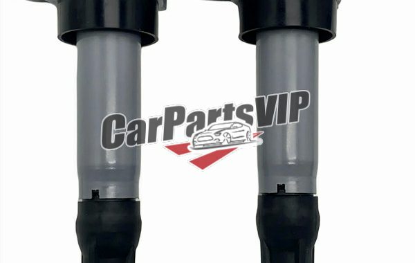 K01165021, Ignition Coil for BAIC Senova X55