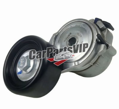 1025200RAA, Automatic Belt Tensioner Assembly for JIM RE-MAX