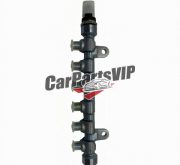 CA100174970, 8974357200, High Pressure Fuel Rail Assembly for JIM(4JB1)
