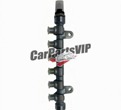 CA100174970, 8974357200, High Pressure Fuel Rail Assembly for JIM(4JB1)