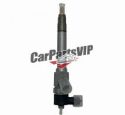 CA100246770, 1124100TSA, Fuel Injector for JIM RE-MAX
