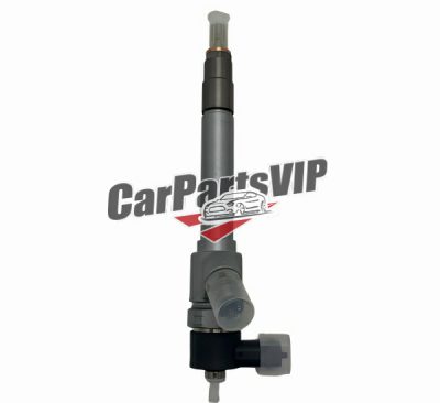 CA100246770, 1124100TSA, Fuel Injector for JIM RE-MAX