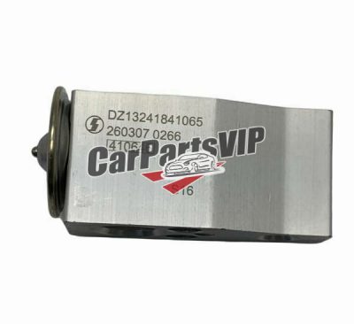 DZ13241841065, Expansion Valve for Shacman